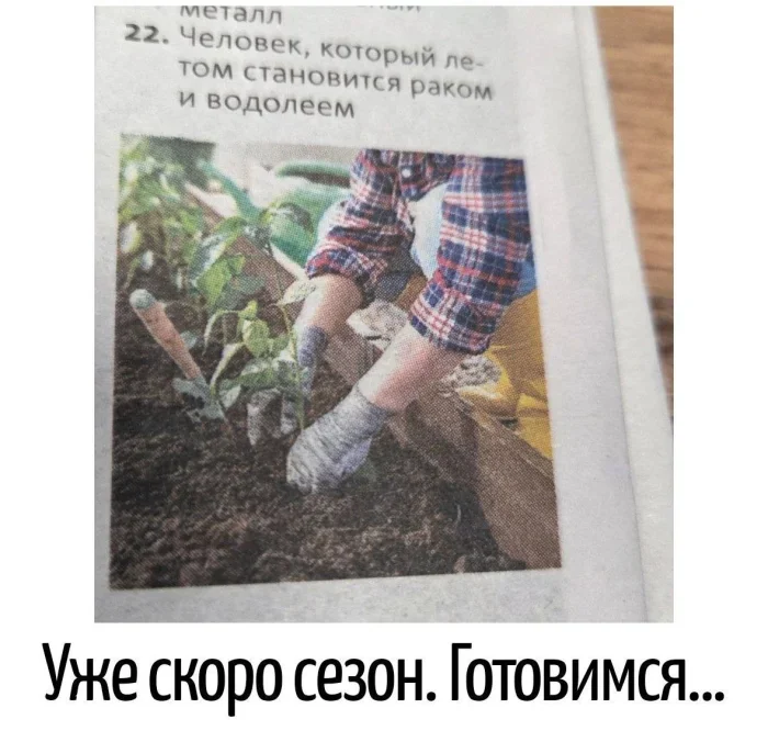Магия каламбуров: 22 картинки, которые заставят улыбнуться Магия каламбуров: 22 картинки, которые заставят улыбнуться каламбуры, игра слов, юмор, подборка
