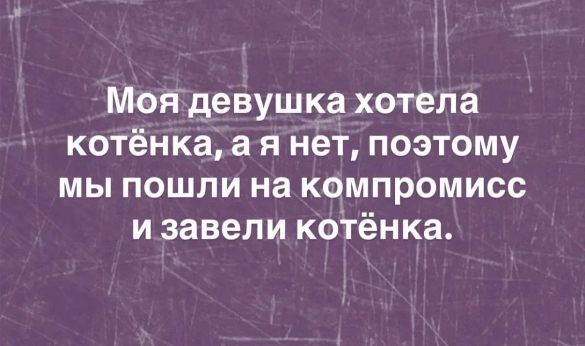 Угарная подборка: 20 июня встречает гориллу юмор, приколы, картинки, животные, горилла