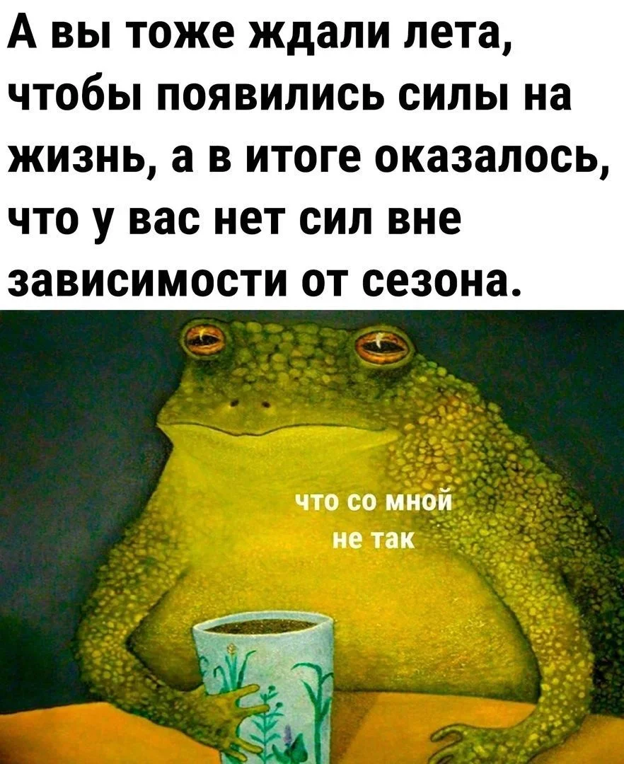 Угарная подборка: 20 июня встречает гориллу юмор, приколы, картинки, животные, горилла