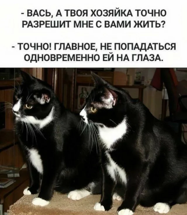Смех без правил: гигантская подборка мемов и картинок для отличных выходных Смех без правил: гигантская подборка мемов и картинок для отличных выходных шутки, мемы, картинки, юмор, подборка