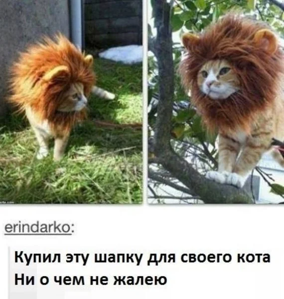 Смех без правил: гигантская подборка мемов и картинок для отличных выходных Смех без правил: гигантская подборка мемов и картинок для отличных выходных шутки, мемы, картинки, юмор, подборка