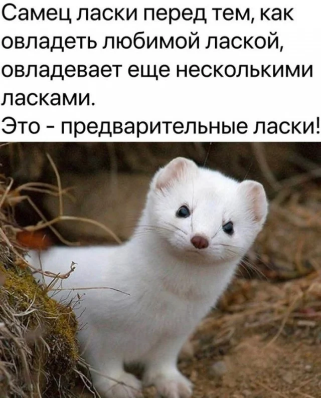 Смех без правил: гигантская подборка мемов и картинок для отличных выходных Смех без правил: гигантская подборка мемов и картинок для отличных выходных шутки, мемы, картинки, юмор, подборка