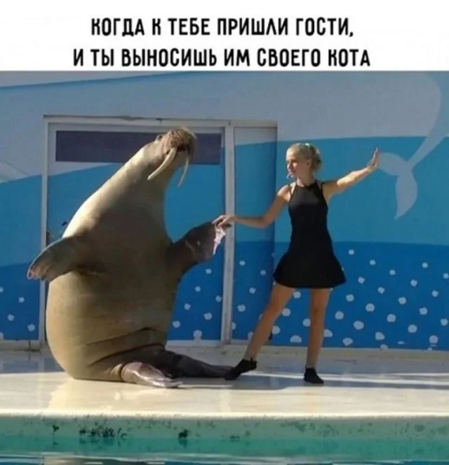 Смех без правил: гигантская подборка мемов и картинок для отличных выходных Смех без правил: гигантская подборка мемов и картинок для отличных выходных шутки, мемы, картинки, юмор, подборка