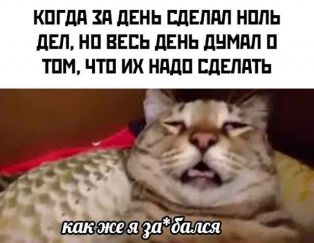Смех без правил: гигантская подборка мемов и картинок для отличных выходных Смех без правил: гигантская подборка мемов и картинок для отличных выходных шутки, мемы, картинки, юмор, подборка