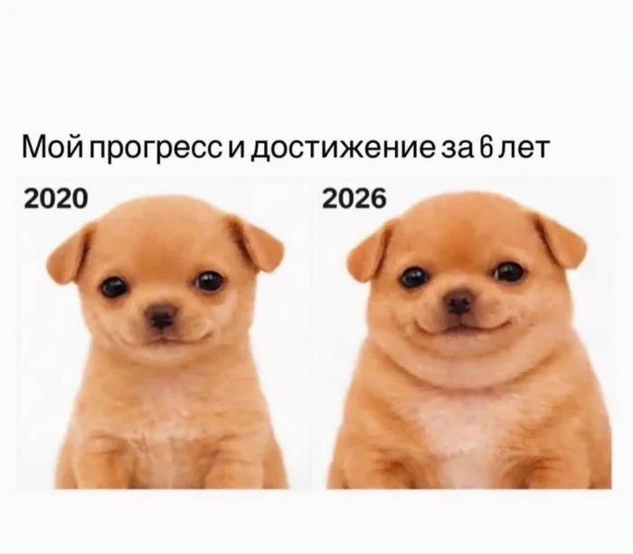 Смех без правил: гигантская подборка мемов и картинок для отличных выходных Смех без правил: гигантская подборка мемов и картинок для отличных выходных шутки, мемы, картинки, юмор, подборка