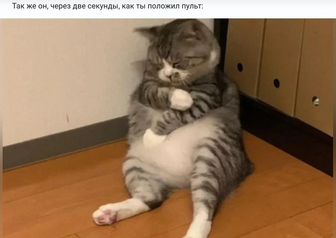 Папы, вы лучшие: мемы и картинки ко Дню отца 2026 день отца, мемы, приколы, картинки, папы, отцы, юмор, подборка