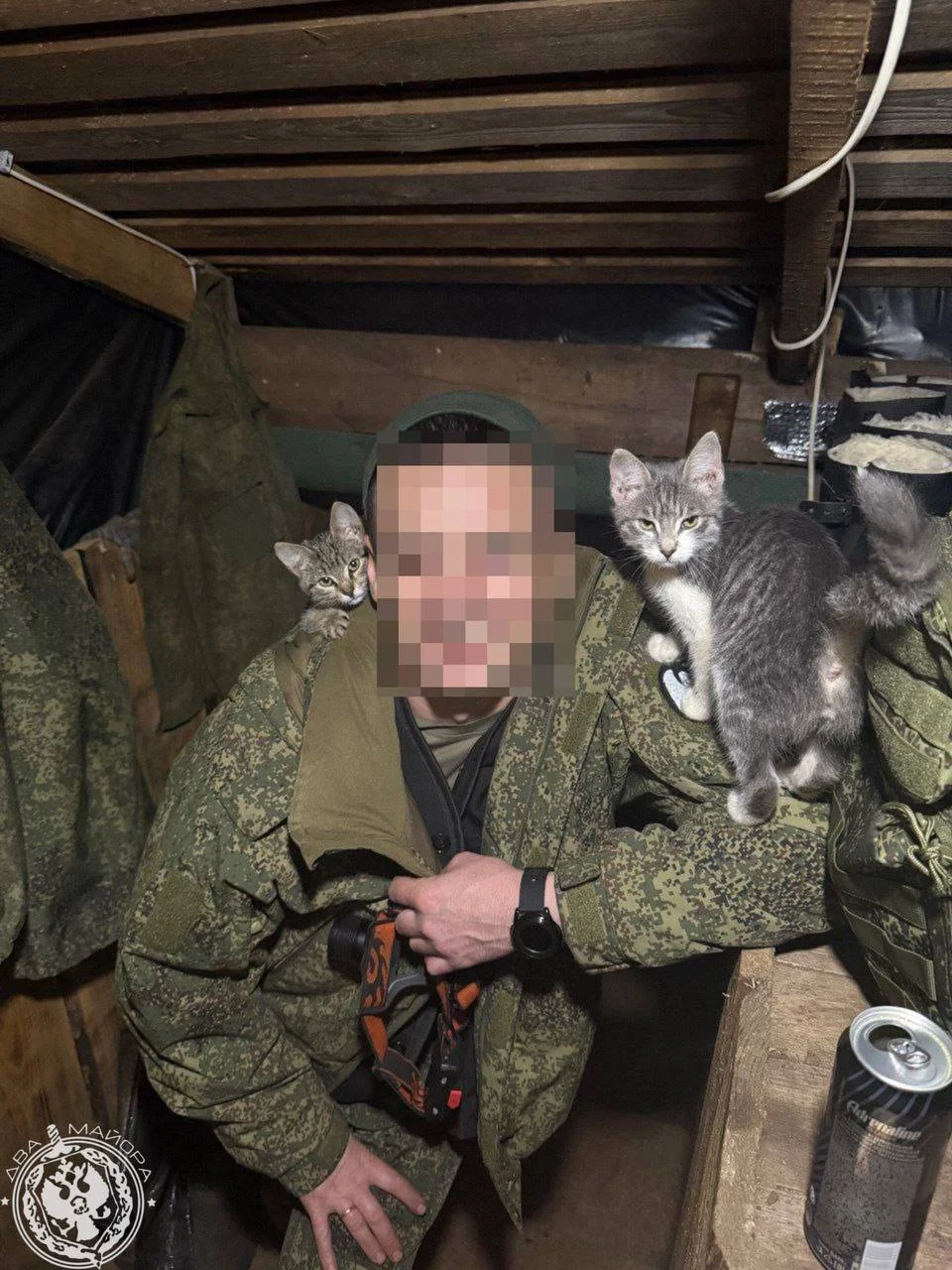 Пушистые бойцы: как котята помогают солдатам выжить на войне Пушистые бойцы: как котята помогают солдатам выжить на войне котята, кошки, фронт, война, дружба, животные, подборка фото