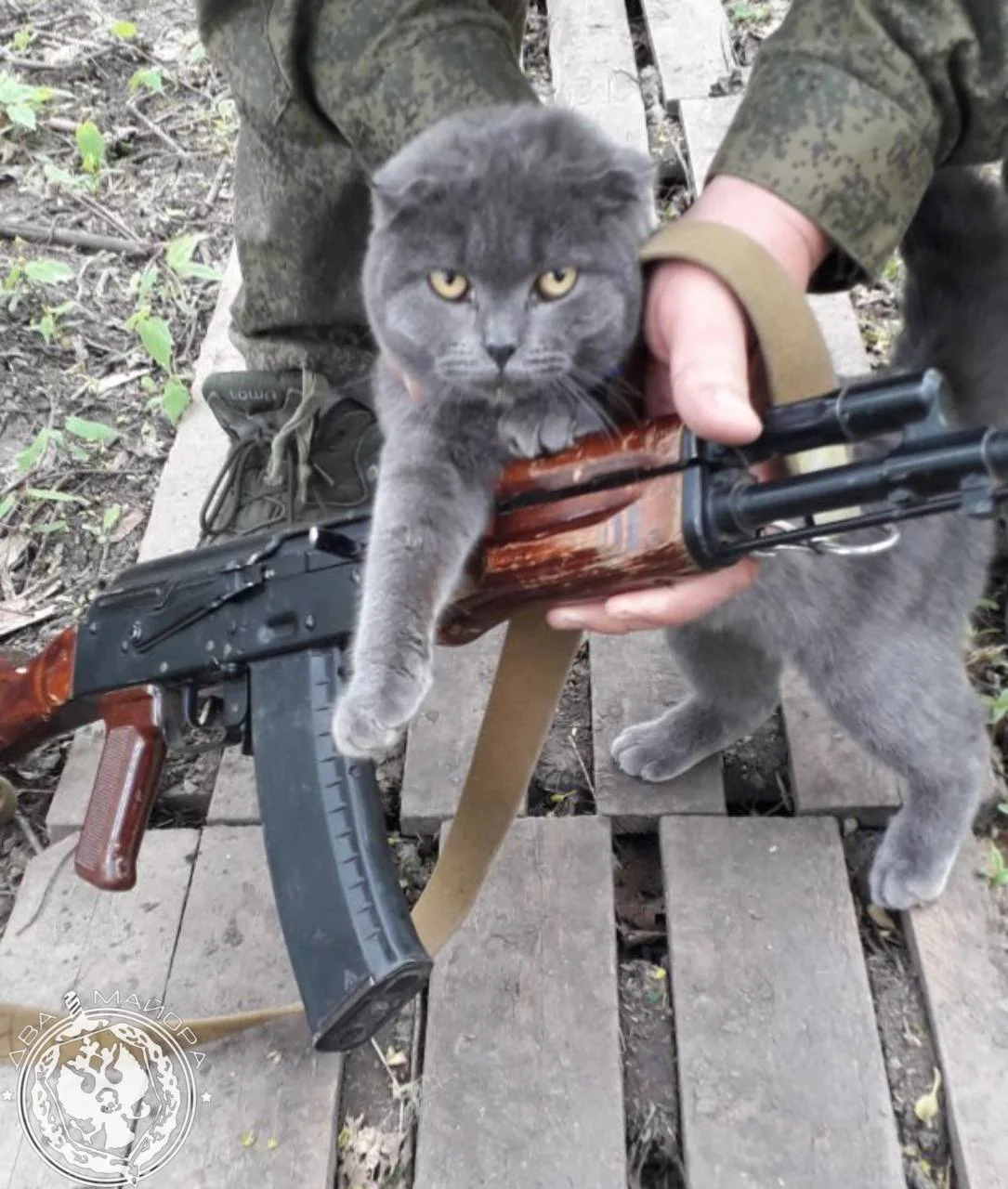 Пушистые бойцы: как котята помогают солдатам выжить на войне Пушистые бойцы: как котята помогают солдатам выжить на войне котята, кошки, фронт, война, дружба, животные, подборка фото
