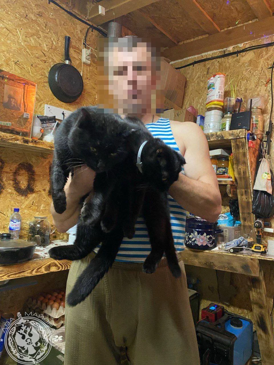 Пушистые бойцы: как котята помогают солдатам выжить на войне Пушистые бойцы: как котята помогают солдатам выжить на войне котята, кошки, фронт, война, дружба, животные, подборка фото