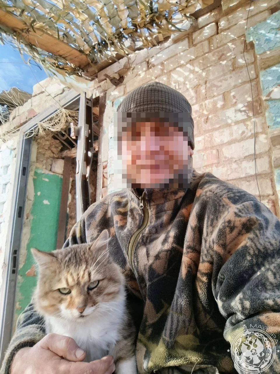 Пушистые бойцы: как котята помогают солдатам выжить на войне Пушистые бойцы: как котята помогают солдатам выжить на войне котята, кошки, фронт, война, дружба, животные, подборка фото