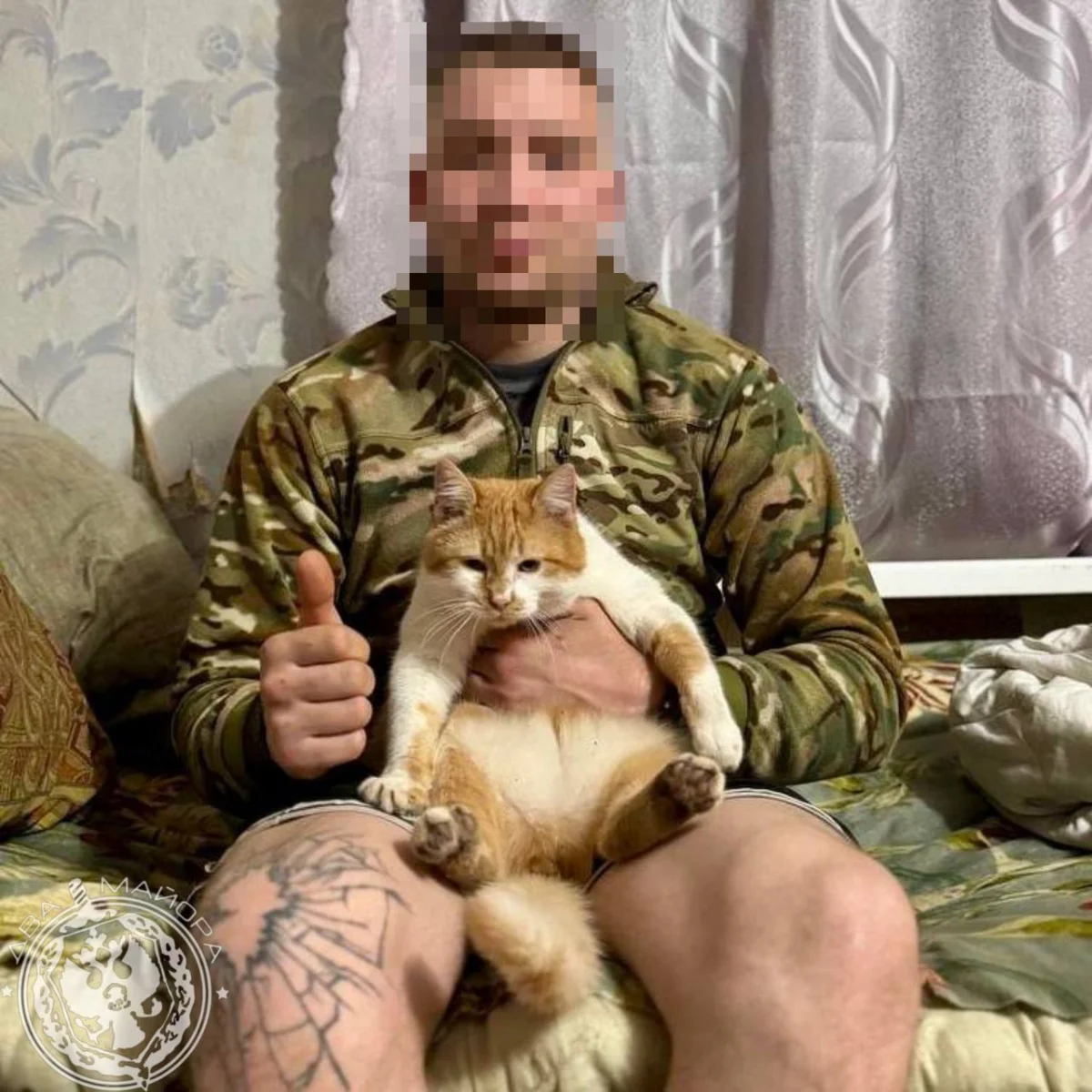 Пушистые бойцы: как котята помогают солдатам выжить на войне Пушистые бойцы: как котята помогают солдатам выжить на войне котята, кошки, фронт, война, дружба, животные, подборка фото