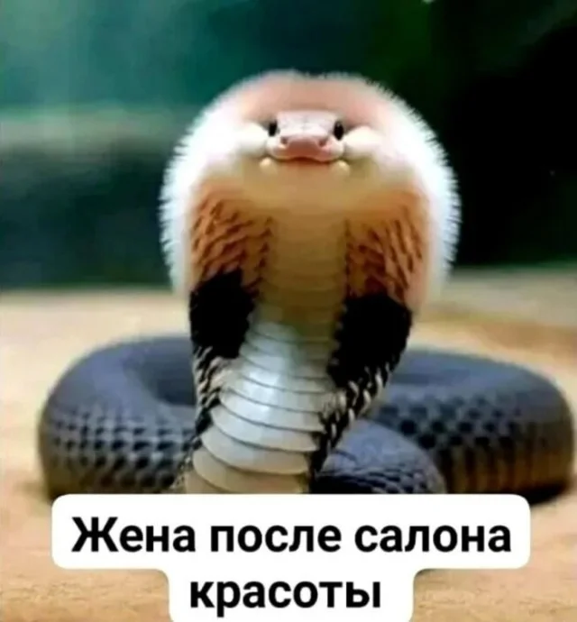 Понедельник — день весёлый: подборка мемов, которая разгонит тоску Понедельник — день весёлый: подборка мемов, которая разгонит тоску приколы, мемы, понедельник, юмор, картинки