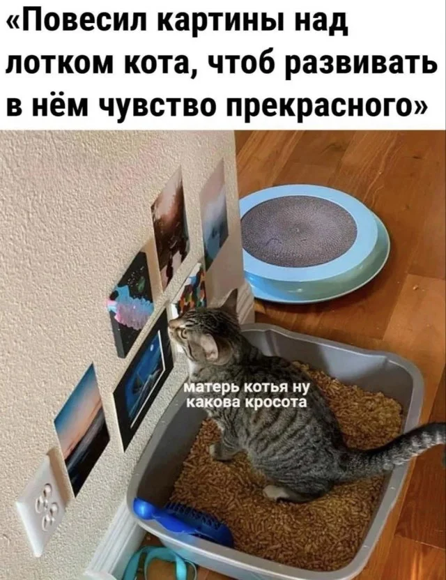 Понедельник — день весёлый: подборка мемов, которая разгонит тоску Понедельник — день весёлый: подборка мемов, которая разгонит тоску приколы, мемы, понедельник, юмор, картинки