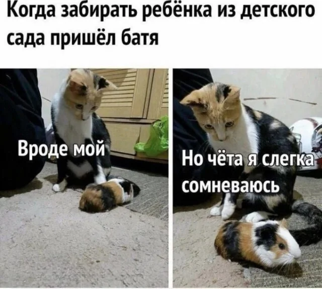 Понедельник — день весёлый: подборка мемов, которая разгонит тоску Понедельник — день весёлый: подборка мемов, которая разгонит тоску приколы, мемы, понедельник, юмор, картинки