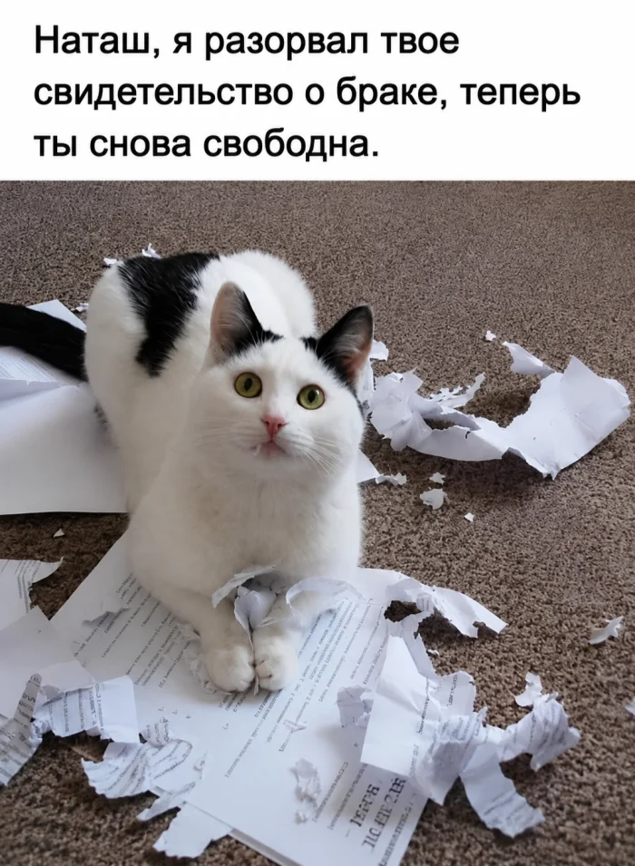 Понедельник — день весёлый: подборка мемов, которая разгонит тоску Понедельник — день весёлый: подборка мемов, которая разгонит тоску приколы, мемы, понедельник, юмор, картинки