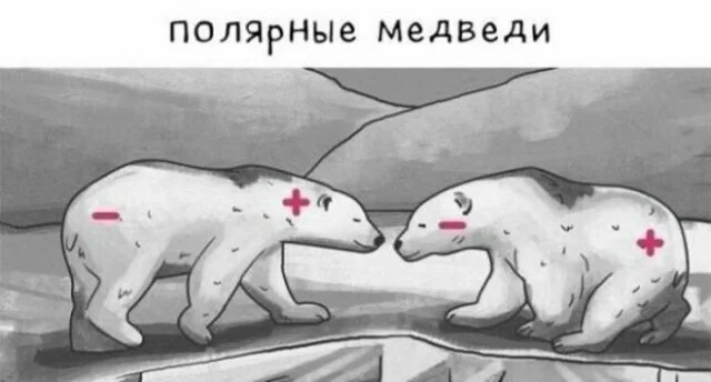 Понедельник — день весёлый: подборка мемов, которая разгонит тоску Понедельник — день весёлый: подборка мемов, которая разгонит тоску приколы, мемы, понедельник, юмор, картинки