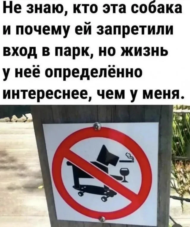 Понедельник — день весёлый: подборка мемов, которая разгонит тоску Понедельник — день весёлый: подборка мемов, которая разгонит тоску приколы, мемы, понедельник, юмор, картинки