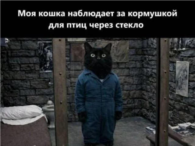 Понедельник — день весёлый: подборка мемов, которая разгонит тоску Понедельник — день весёлый: подборка мемов, которая разгонит тоску приколы, мемы, понедельник, юмор, картинки