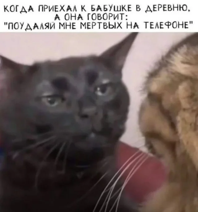 Понедельник — день весёлый: подборка мемов, которая разгонит тоску Понедельник — день весёлый: подборка мемов, которая разгонит тоску приколы, мемы, понедельник, юмор, картинки