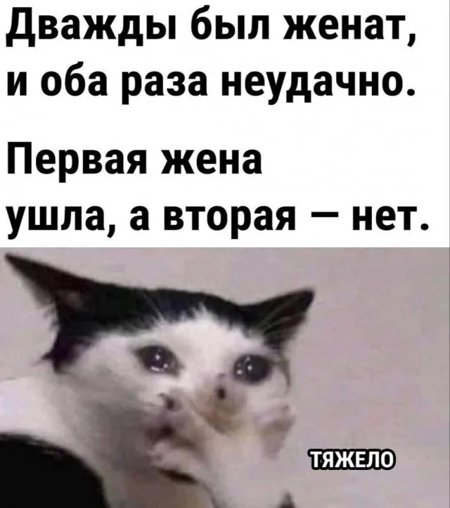 Понедельник — день весёлый: подборка мемов, которая разгонит тоску Понедельник — день весёлый: подборка мемов, которая разгонит тоску приколы, мемы, понедельник, юмор, картинки