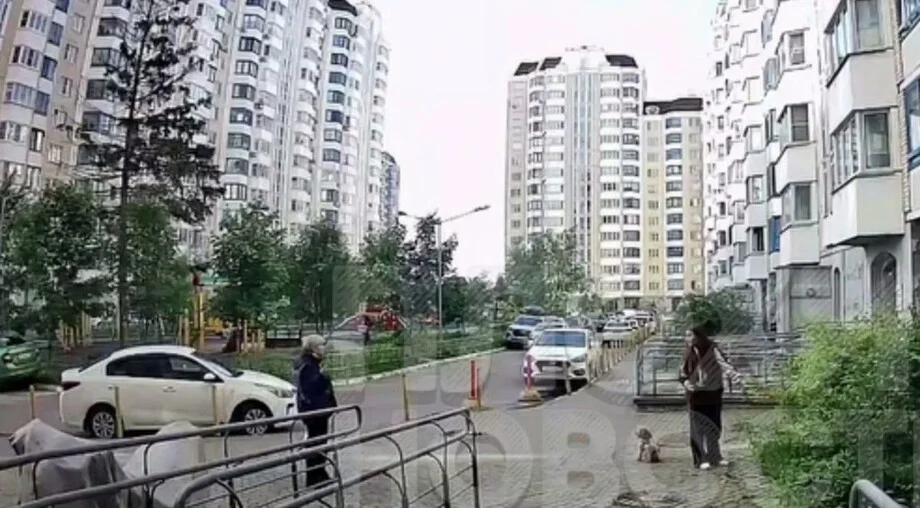 «А ну-ка брысь отсюда!»: конфликт из-за выгула собаки попал на видео