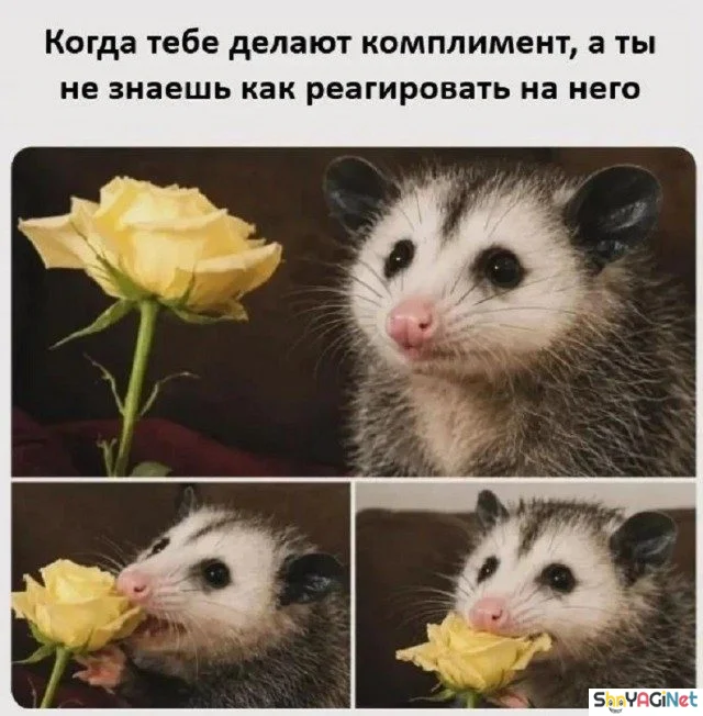 Убойные мемы «Когда…» — 20 штук Убойные мемы «Когда…» — 20 штук приколы, мемы, когда, подборка, смешные картинки