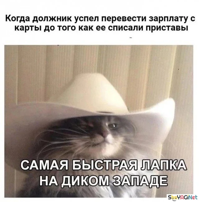 Убойные мемы «Когда…» — 20 штук Убойные мемы «Когда…» — 20 штук приколы, мемы, когда, подборка, смешные картинки
