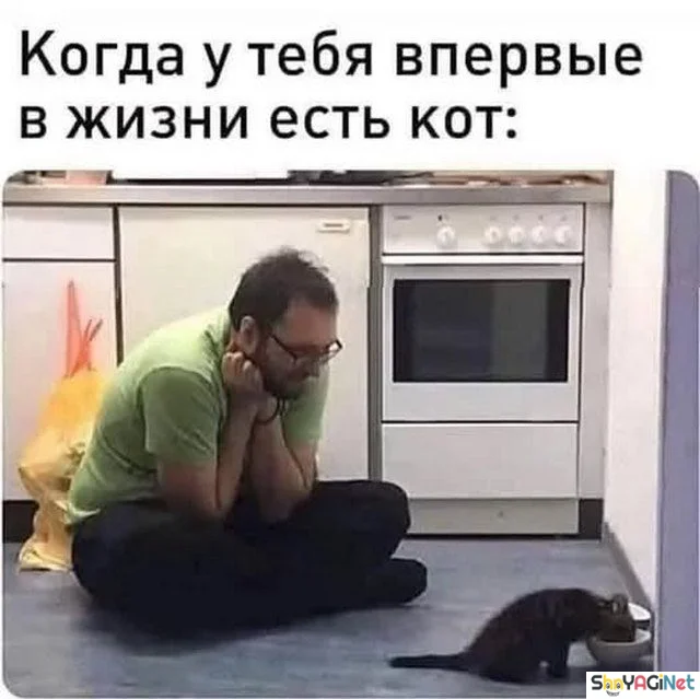 Убойные мемы «Когда…» — 20 штук Убойные мемы «Когда…» — 20 штук приколы, мемы, когда, подборка, смешные картинки