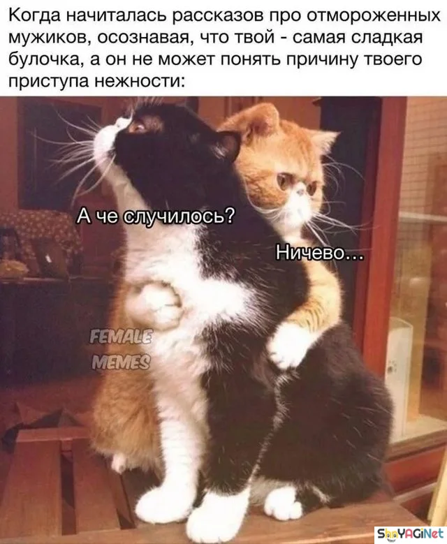 Убойные мемы «Когда…» — 20 штук Убойные мемы «Когда…» — 20 штук приколы, мемы, когда, подборка, смешные картинки