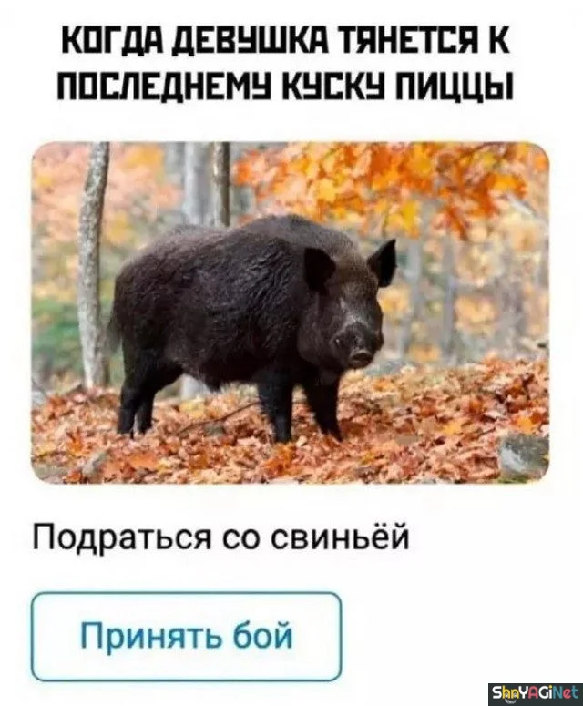 Убойные мемы «Когда…» — 20 штук приколы, мемы, когда, подборка, смешные картинки