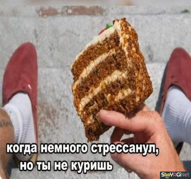 Убойные мемы «Когда…» — 20 штук Убойные мемы «Когда…» — 20 штук приколы, мемы, когда, подборка, смешные картинки
