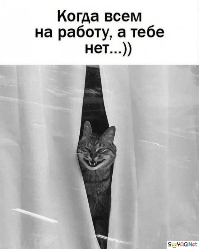 Убойные мемы «Когда…» — 20 штук Убойные мемы «Когда…» — 20 штук приколы, мемы, когда, подборка, смешные картинки