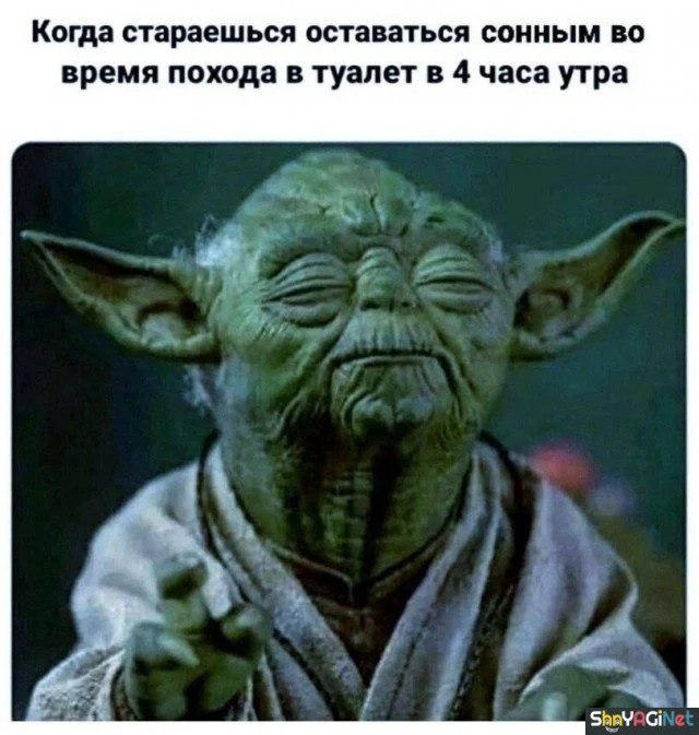 Убойные мемы «Когда…» — 20 штук Убойные мемы «Когда…» — 20 штук приколы, мемы, когда, подборка, смешные картинки
