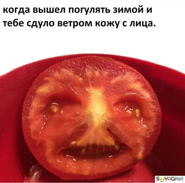 Убойные мемы «Когда…» — 20 штук Убойные мемы «Когда…» — 20 штук приколы, мемы, когда, подборка, смешные картинки