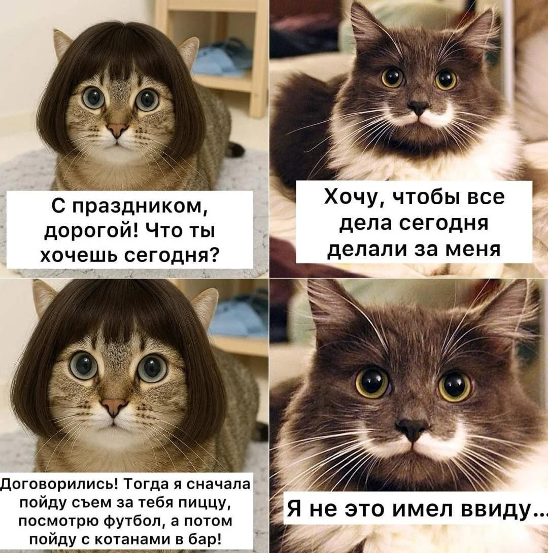 Футбольный юмор: мемы и приколы про ЧМ-2026 Футбольный юмор: мемы и приколы про ЧМ-2026 футбол, мемы, картинки, приколы, ЧМ-2026, футболисты, юмор