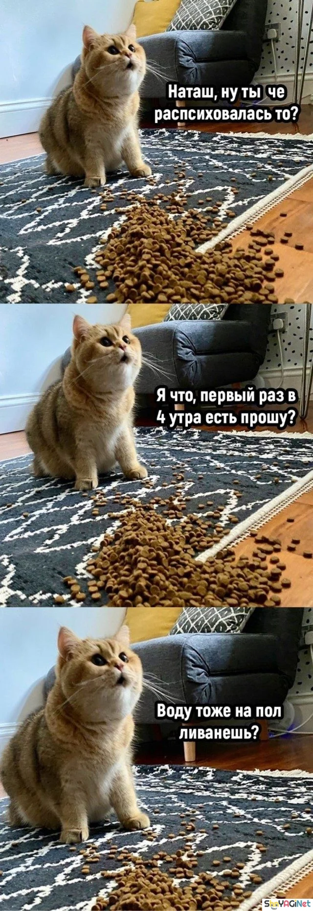 Заряд позитива на весь день приколы, мемы, смешные картинки, юмор
