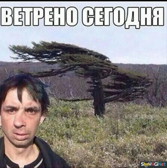 Заряд позитива на весь день приколы, мемы, смешные картинки, юмор