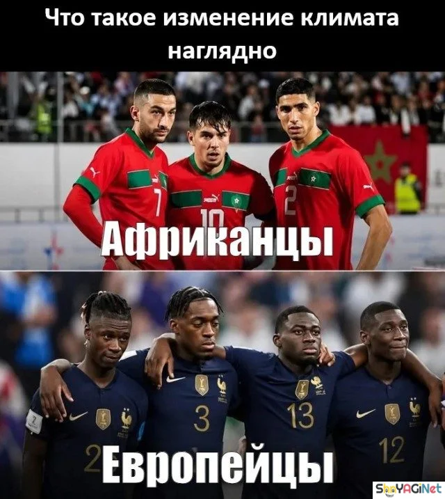 Заряд позитива на весь день приколы, мемы, смешные картинки, юмор