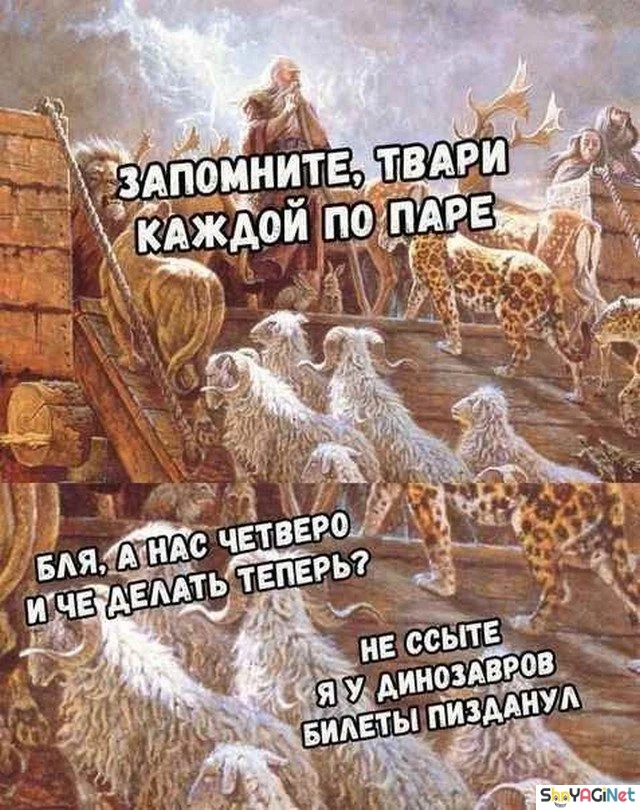 Заряд позитива на весь день приколы, мемы, смешные картинки, юмор