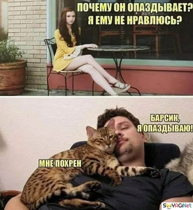 Заряд позитива на весь день приколы, мемы, смешные картинки, юмор
