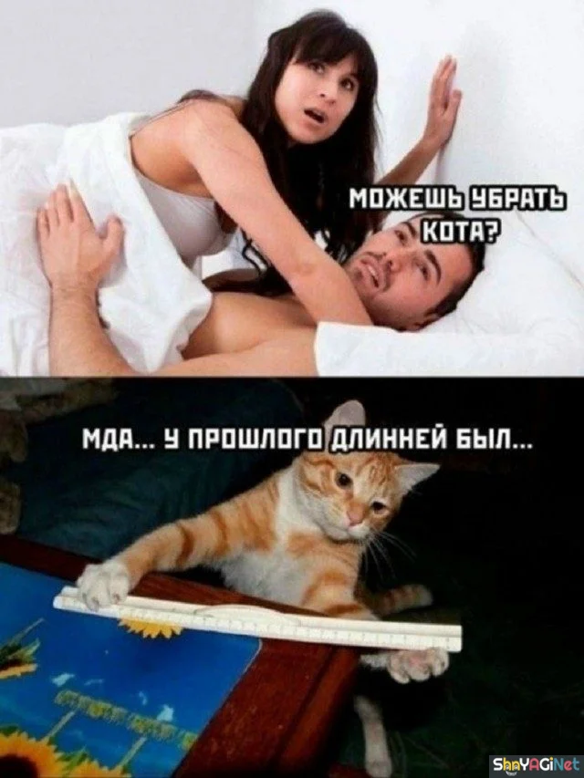 Заряд позитива на весь день приколы, мемы, смешные картинки, юмор