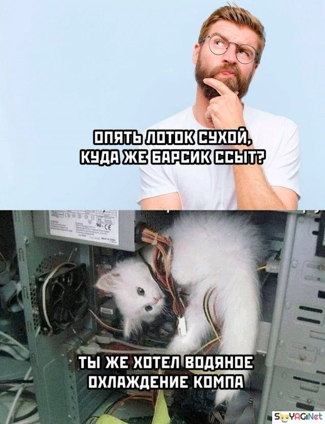 Заряд позитива на весь день приколы, мемы, смешные картинки, юмор