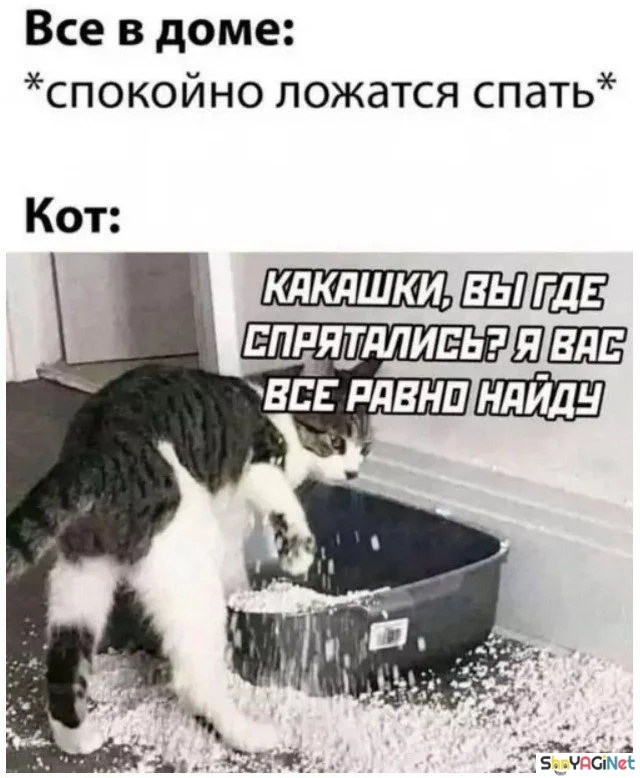 Июньский угар: финальная подборка мемов приколы, мемы, июнь, юмор, картинки