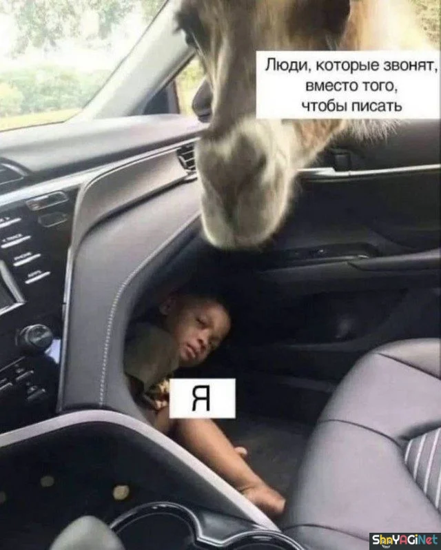 Июньский угар: финальная подборка мемов приколы, мемы, июнь, юмор, картинки