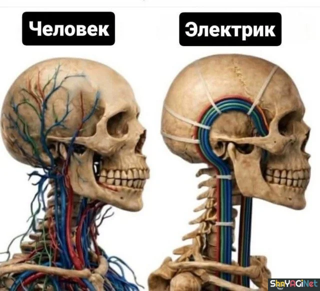 Июньский угар: финальная подборка мемов приколы, мемы, июнь, юмор, картинки