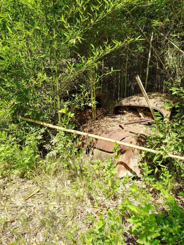 Тоска по ушедшему: 25 кадров заброшенной красоты заброшенные места, эстетика, фотоподборка, природа, разрушение