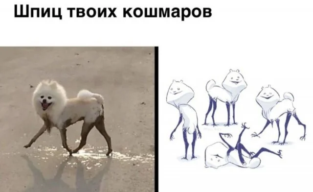 Утренний заряд смеха: подборка приколов Утренний заряд смеха: подборка приколов юмор, приколы, мемы, подборка, позитив