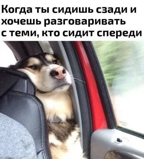 Утренний заряд смеха: подборка приколов Утренний заряд смеха: подборка приколов юмор, приколы, мемы, подборка, позитив