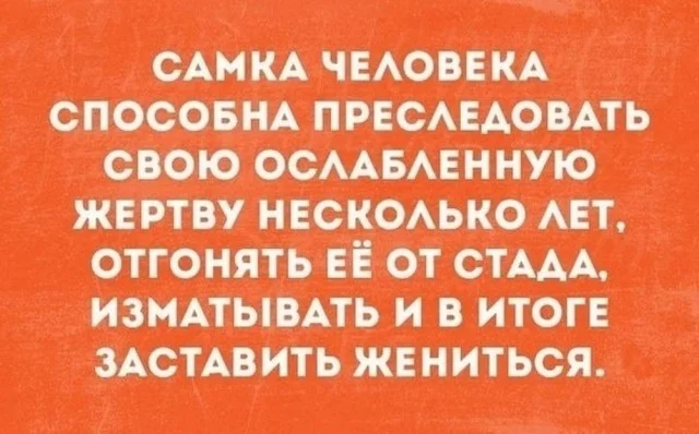 Утренний заряд смеха: подборка приколов Утренний заряд смеха: подборка приколов юмор, приколы, мемы, подборка, позитив