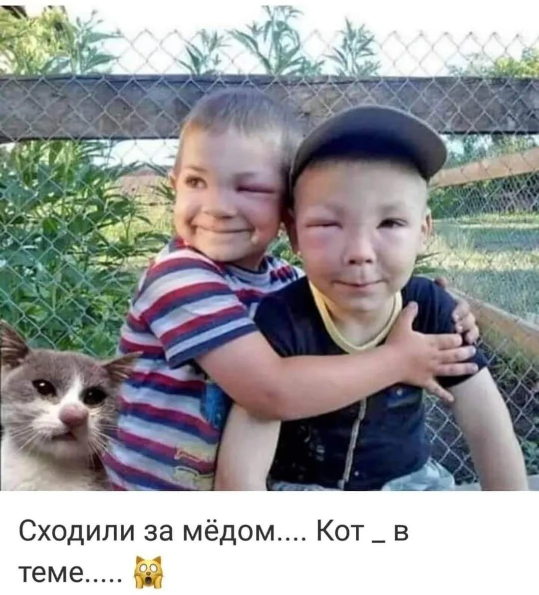 Июньские мемы 2026: полный угар и актуальные приколы мемы, июнь, 2026, приколы, картинки, смешное